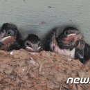 새천년종묘농약사 이미지