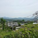 양평부동산박사공인중개사사무소 | 양평토지 양평 전원주택 &amp; 토지 매매, 내 손으로 직접 현장 확인한 따뜻한 중개후기