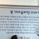 봉짜장 이미지