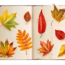 세인치과의원 이미지