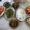 와와옻닭 네이버블로그
