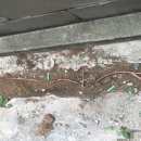 동신태양광발전소 이미지