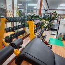 코리아헬스클럽 이미지