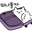 인터불고 웰니스센터 네이버블로그