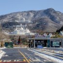 최승구 흑염소 사육장 | 가평 배고니아새정원 방문 후기 실내에서 즐기는 동물 구경