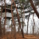 과천 서울대공원 산림욕장길 종주 이미지