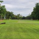 6월26일 태국 코로나 소식 및 태국골프 관련소식 이미지