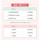 씨유제주동부관광점 | 제주 동쪽 뚜벅이 버스투어 내돈내산 솔직후기