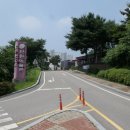 안산천수변공원1 | [경기 여행] 안산의 단원 미술관 &amp; 안산갈대습지