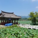 유등연지 이미지