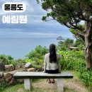 울릉도 가볼만한 곳 비오는날 가기 좋은 식물원 예림원
