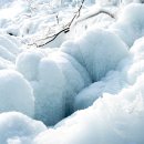 참샘 농원 이미지