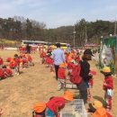 에코새싹유치원 이미지