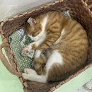 가창로216길 이미지