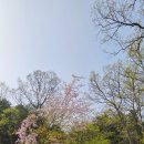 한옥강산재