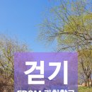 공수천2교 | 걷기 (1만보, 7km) _ From 과천향교, To 서초문화예술공원