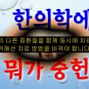 경도 인지장애 원인과 치료 - 사암오행침, 사암침법, 오행침, 정통사암침 이미지