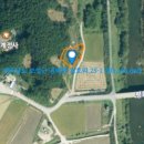 보성목장 이미지