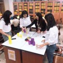 대전배울초등학교 이미지