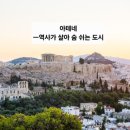축제의땅 이미지