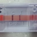 마루종합동물병원 이미지