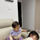 유나이모네 이미지