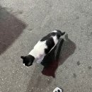 바그 관광호텔 이미지