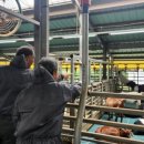 송동축사 이미지