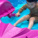 메타포레스트