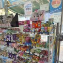 세븐일레븐안산본오제일점 이미지