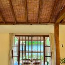 달뿌리집 이미지