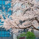 감으로 일하던 시절을 넘어, 전략으로 나아가다 – 서강대 MBA 88기 재학생 이야기