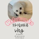 더세이블컴퍼니 | 성수동 핫플, 인생샷 성지 | 디올 성수 부티크 & 카페 디올 방문 후기✨