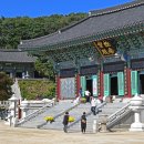 5월17일(토)강화 석모도투어(보문사-석모도수목원과-민머루해변)/마감 이미지