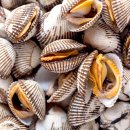 정도가 꼬막 식당 이미지