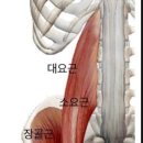 F4GYM(에프포짐) 이미지