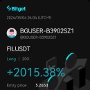 파일코인 이미지