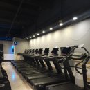 트랜스핏짐 이미지