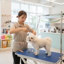 이로애견미용실 | 애견샵 창업 성공하려면? 단골확보는 고객관리프로그램이 답!