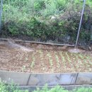 혜원유치원 이미지