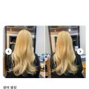 블론디헤어 - 서귀포시 대청로 12 | 블론디헤어