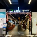 백석동물병원 | 백석 대형서점 이탈리안 브레인롯 교보문고 일산점