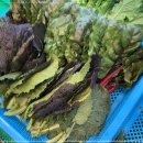 양평민물장어 이미지