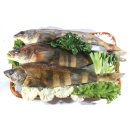 현대그린마트 퇴계원점 이미지