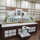 강원대학교병원 이미지