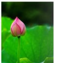 예뻐지는중 이미지