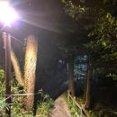 황금능선 | [관악산] 최애코스, 가을을 맞이하는 사당능선과 수영장능선을 걷다