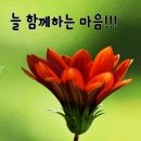 🍒여조삭비(如鳥數飛)🍒 이미지