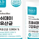 비데이 이미지