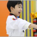 대망태권도 이미지